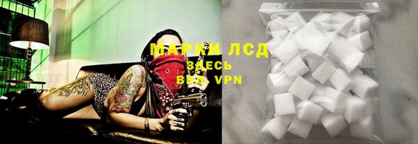 гидра Белокуриха