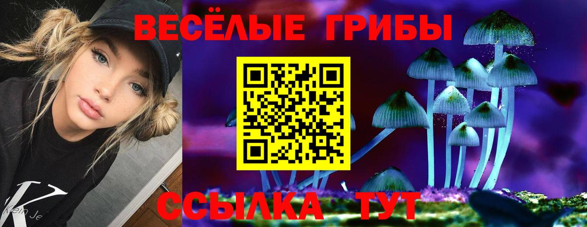 Галлюциногенные грибы мицелий Кировск