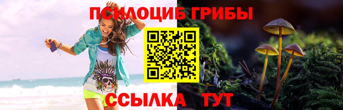 Псилоцибиновые грибы мицелий  Вход с VPN  Кировск 